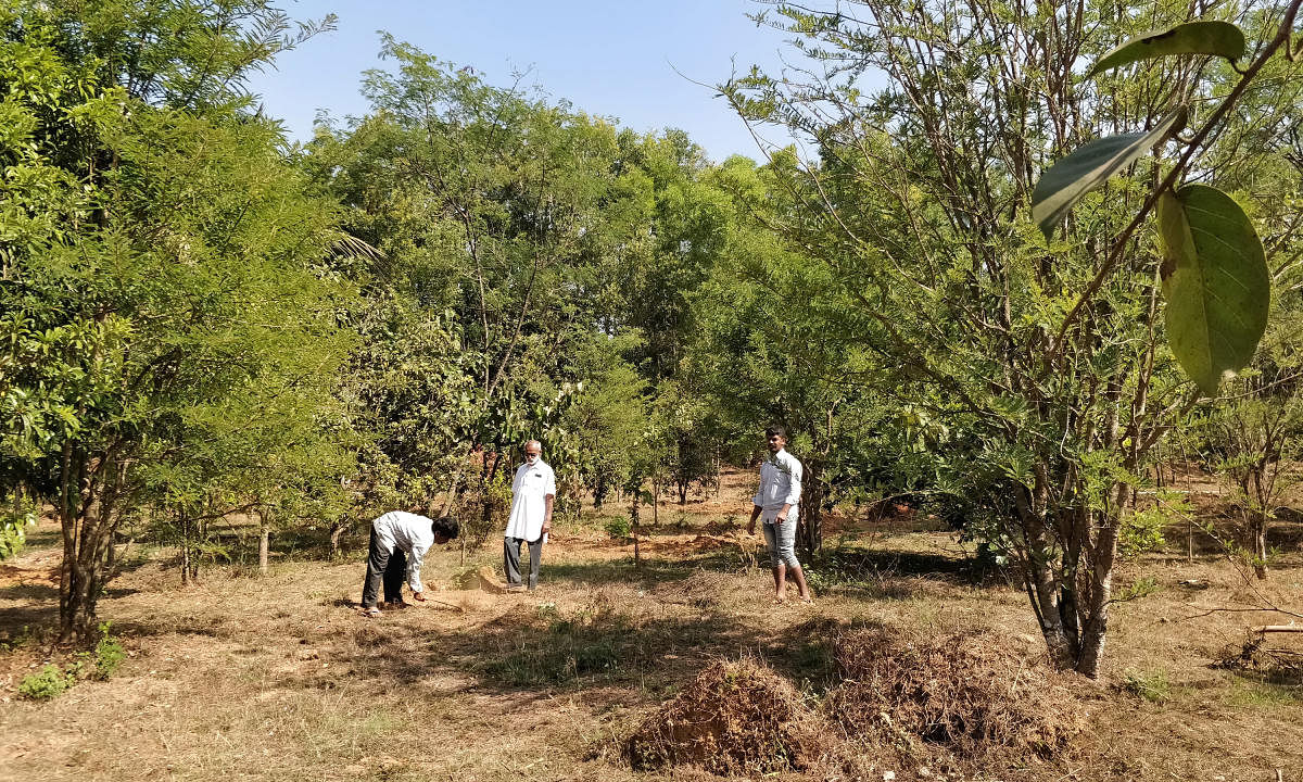 transformation Volunteers engaged in cleaning the premises of Nemmadi, a burial site in Sirsi.