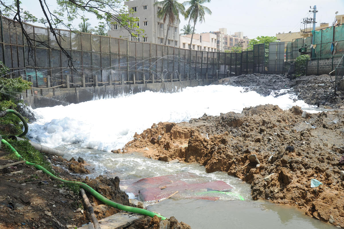 kicker: Bellandur Lake has 6.60 million cubic metres of silt, according to an IISc study. DH FILE PHOTO