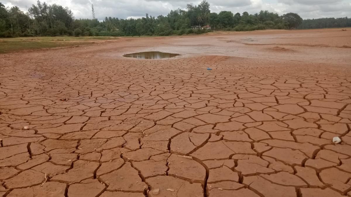 Silt accumulated in the Garaganduru stream.