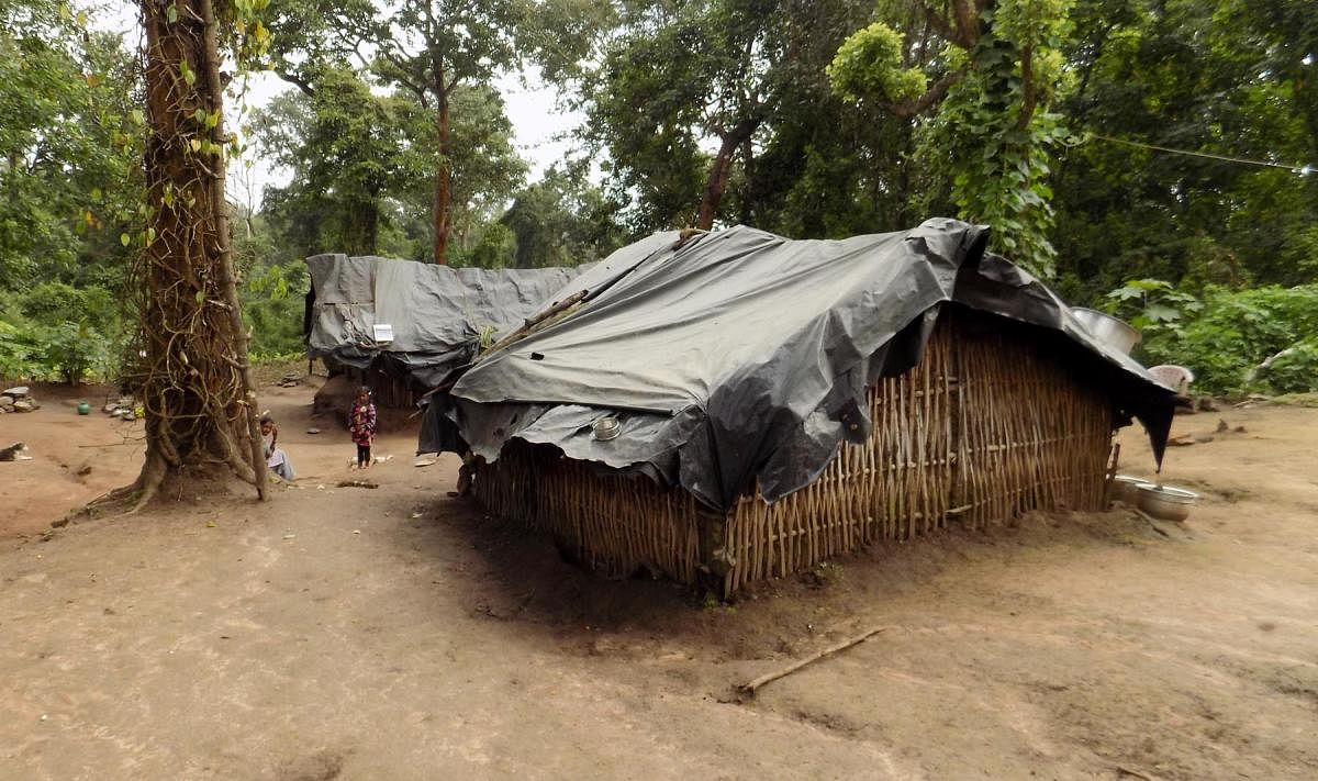 Huts in the Devarapura tribal hamlet in Gonikoppa.