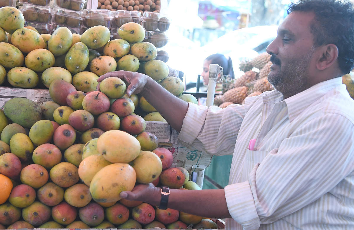 Mangoes at the Gandhi Bazaar market in Basavanagudi on Thursday. DH Photo/Srikanta Sharma R