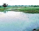 As many as 12 lakes to get a new lease of life. DH File photo