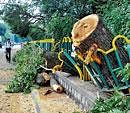 A file photo of the trees chopped for widening the Sankey Tank Bund Road.