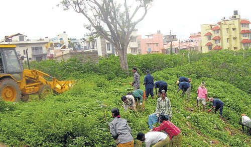 BELATED action: BBMP workers clear trash from the banks of the Vasanthapura temple tank on Sunday. DH photo