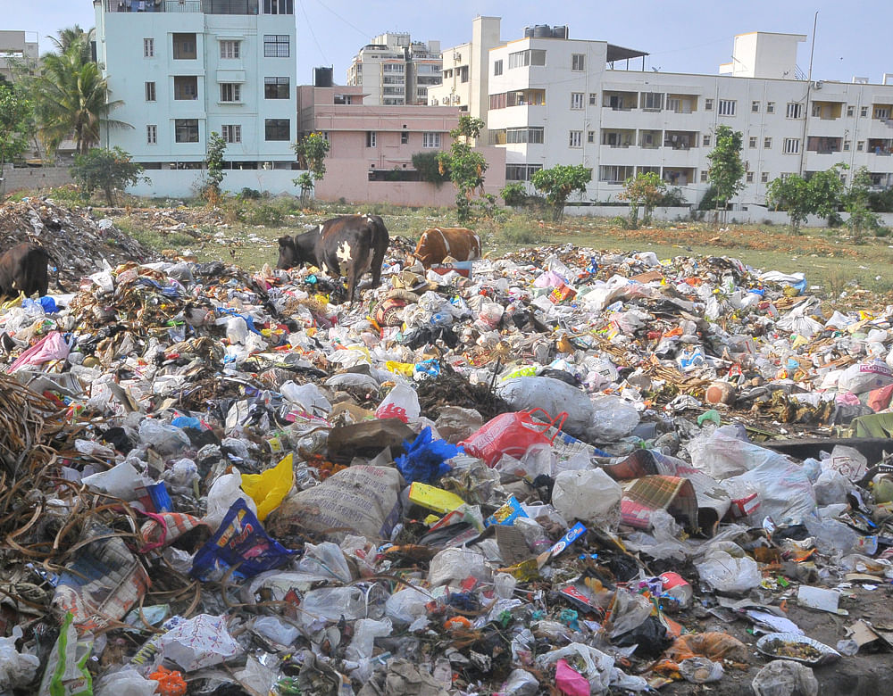The recent protests by Mandur residents over dumping of garbage in their village highlighted how the BBMP failed to keep its promise of setting up garbage processing units at various locations in the City and its outskirts. DH photo