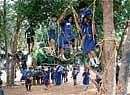 Cubs and Bulbuls walking on a monkey bridge as part of activities at the 33rd State-level Cub and Bulbul Utsav in Udupi on Monday.  DH photo