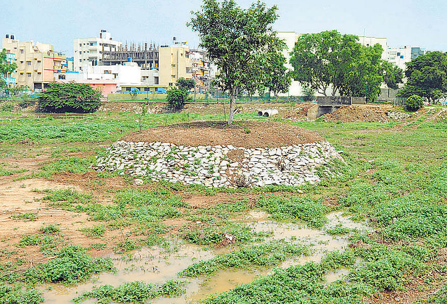 The Bangalore Development Authority (BDA) has urged the State government to legalise the illegal residential layout it formed on Venkatarayana Kere, a lakebed in survey number eight of Gubbalala village in Uttarahalli hobli of Bengaluru South taluk.DH File Photo For rerpesentation