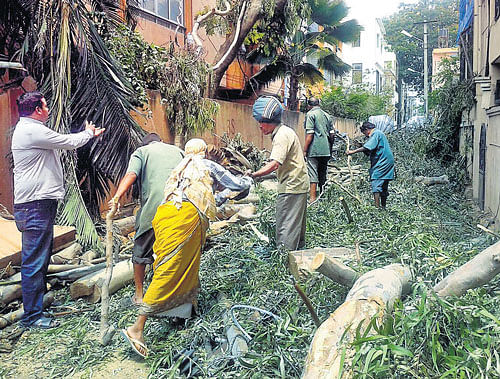 Clearance drive: Personnel from the Forest department, BBMP and Civil Defence remove uprooted trees in south Bengaluru on Tuesday. (Below) A house owner waits for the fallen tree to be cleared from his house. DH&#8200;Photo