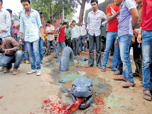 The art installation of a snake craning out of a pothole in Yeshwantpur Circle on Sunday drew many people. DH photo