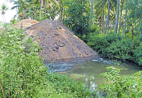 Heaps of mud dumped in the downstream of Varthur lake.