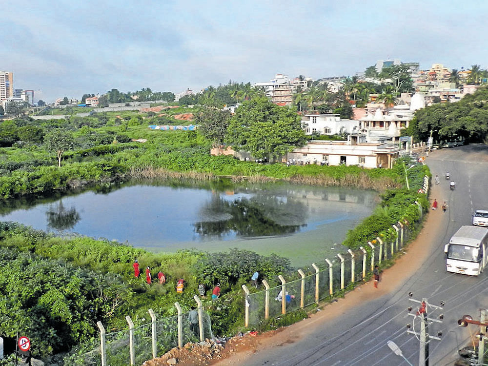 Most of the temple tanks in Bengaluru are on the verge of extinction due to the scourge of rapid urbanisation. DH&#8200;PHOTO