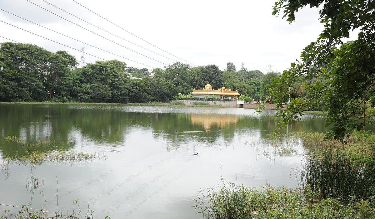 Vasanthapura lake in south Bengaluru. DH Photo/Srikanta Sharma R
