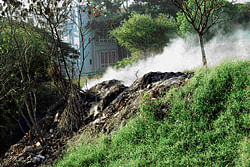 Not spared: Smoke billows out of a heap of garbage set on fire at the Lalbagh. DH Photo/Subhash chandra N S