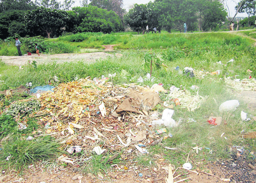 Bad impression: Garbage dumped at a hillock in Lalbagh on Saturday. DH Photo