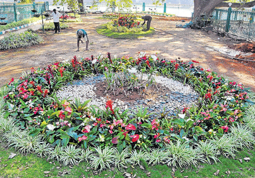 floral treat: The open-air orchidorium at Lalbagh in Bangalore. dh Photo