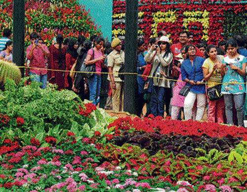 The Republic Day flower show at the Lalbagh Botanical  Garden saw over two lakh people visiting .&#8200;DH Photo