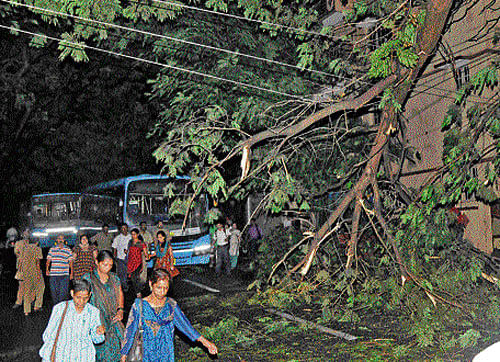 Several areas in the City went without power on Tuesday with the Bescom taking up tree-pruning job.