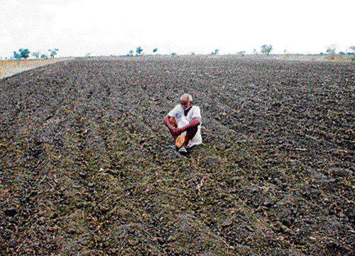 Two debt-ridden farmers allegedly committed suicide in Karimnagar district of Telangana, after they suffered huge losses due to crop failure, police said today. DH file photo. For representation purpose