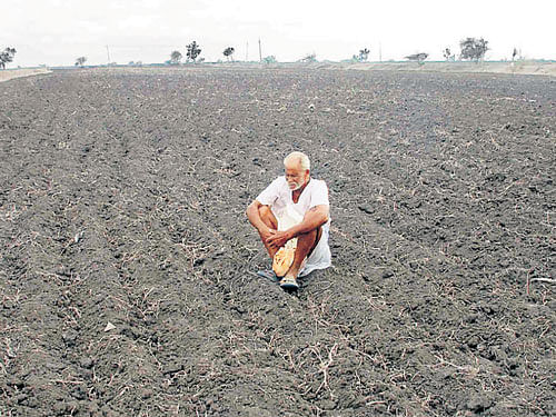 A state government release issued on September 11 said that 141 farmers have committed suicide so far and that ex-gratia was being paid to them. DH file photo. For representation purpose