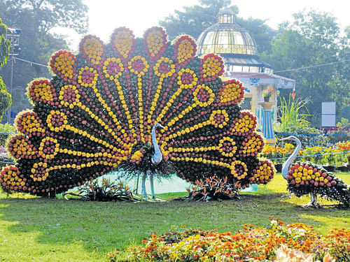 A peacock and a peahen, created using capsicums weighing 1.5 tonnes, displayed at the Dasara flower showbeing held at Kuppanna Park, inMysuru. DH PHOTO
