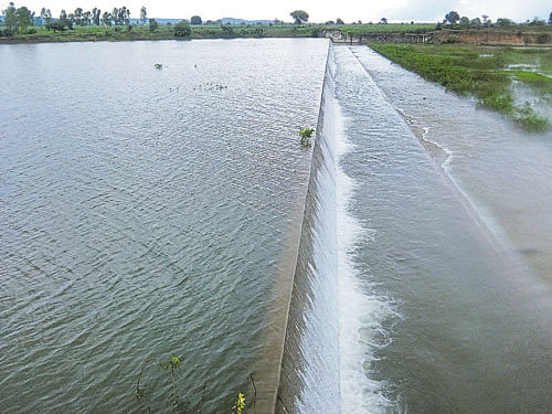 One of the tanks restored under Mission Kakatiya in Adilabad district of Telangana brimming with water.