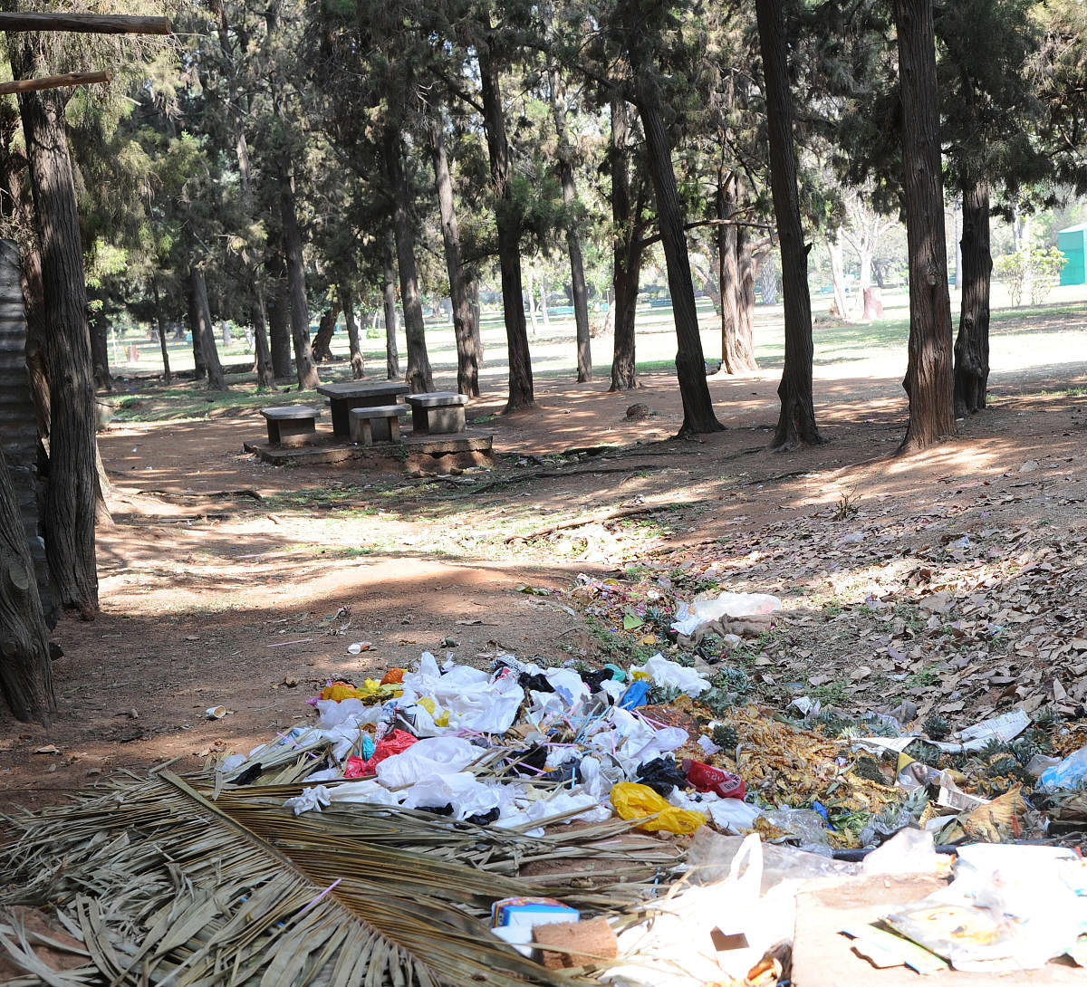 Waste piled up at Lalbagh.
