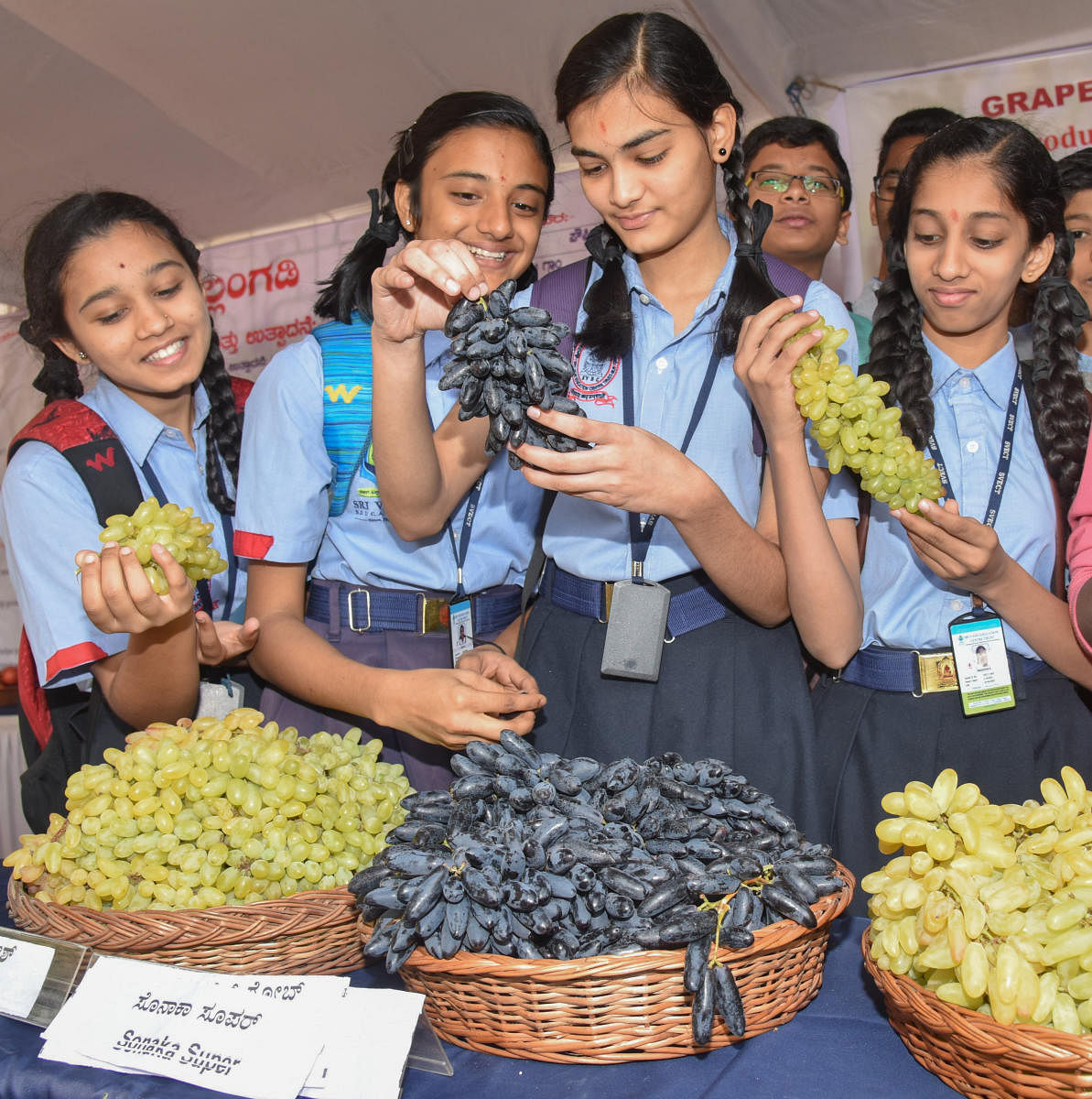 Schoolgirls at the grape, watermelon and rare fruit mela at Lalbagh in February 2018. DH FILE PHOTOS