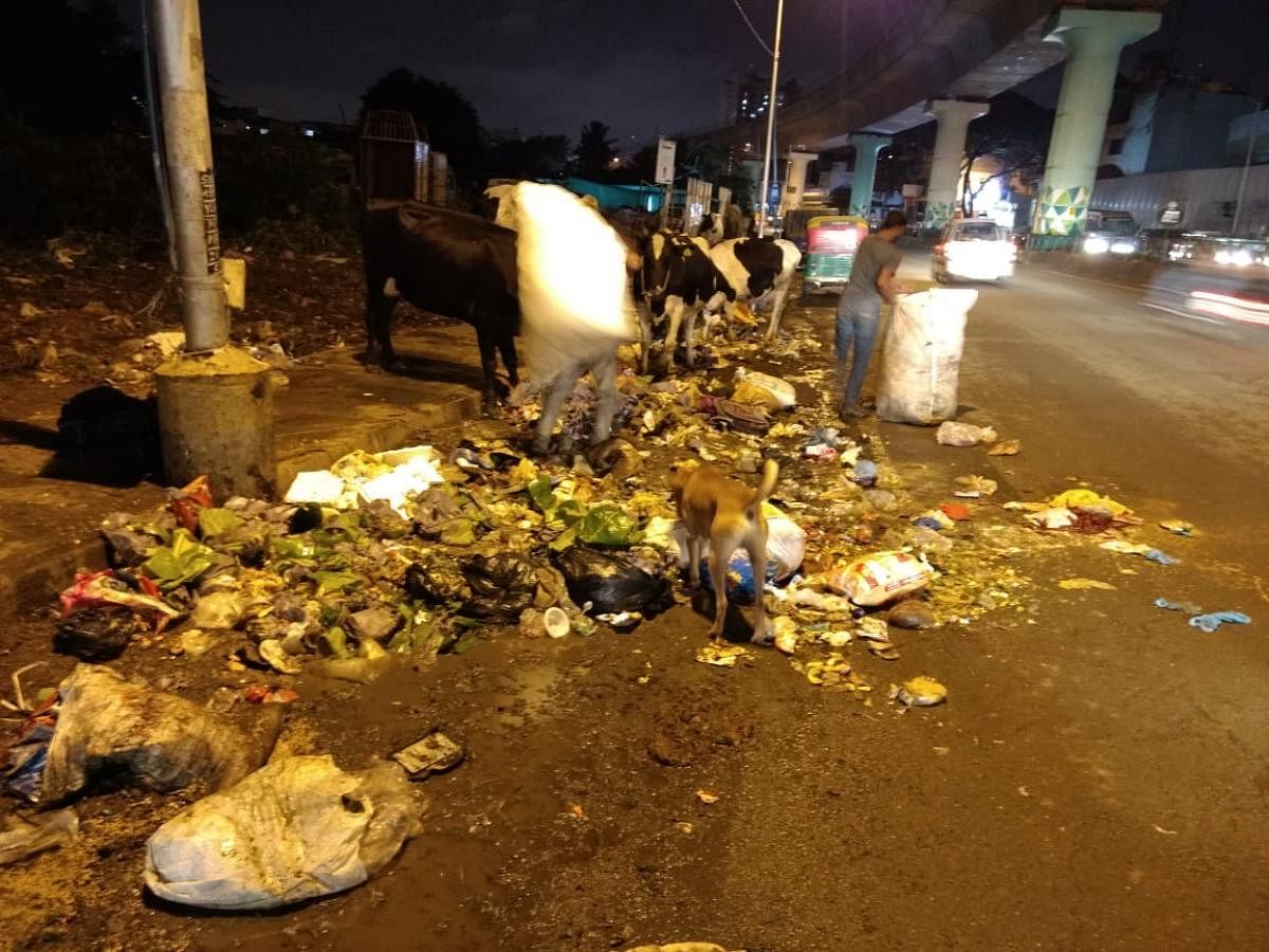 A mound of garbage opposite the HM Tambourine apartment on Kanakapura Road.