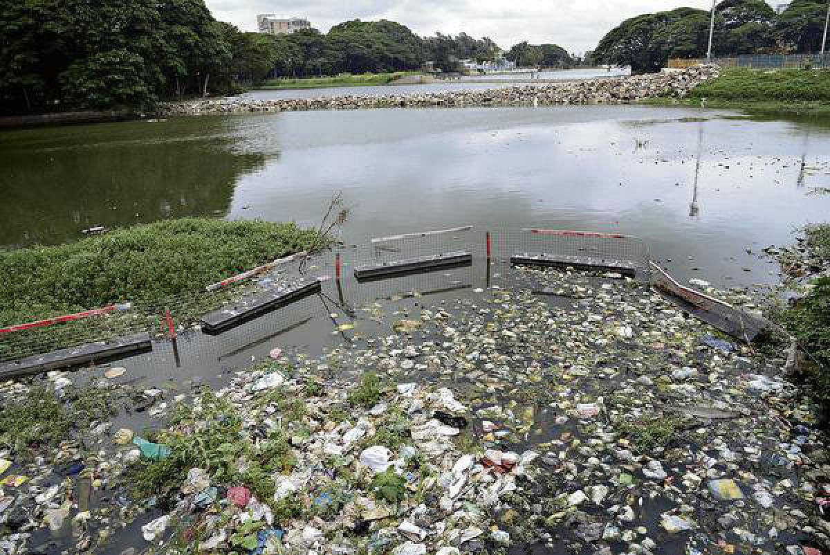 Trash barriers in Cooum River, Chennai.
