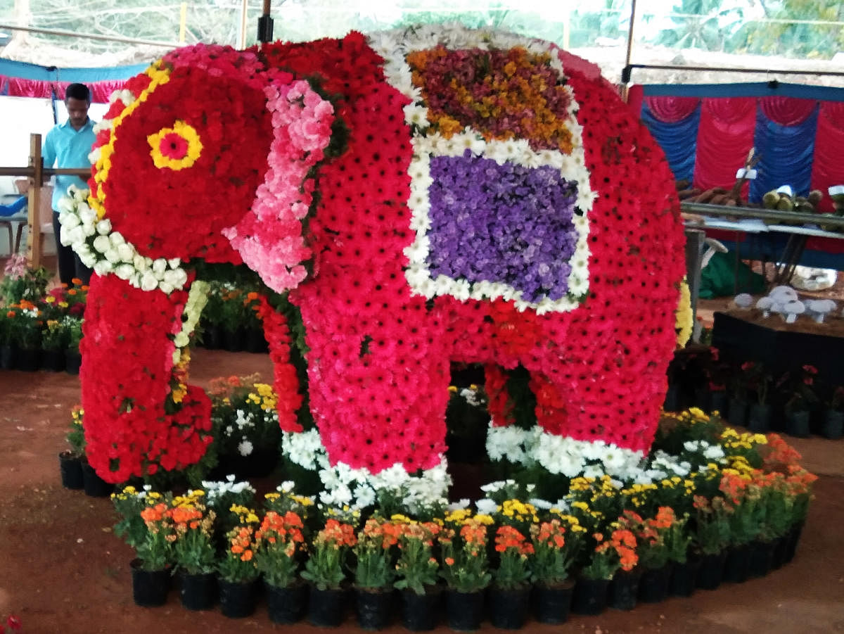 A model of an elephant, made of flowers, on display during the flower show held as a part of Alupotsav at Barkur in Udupi.