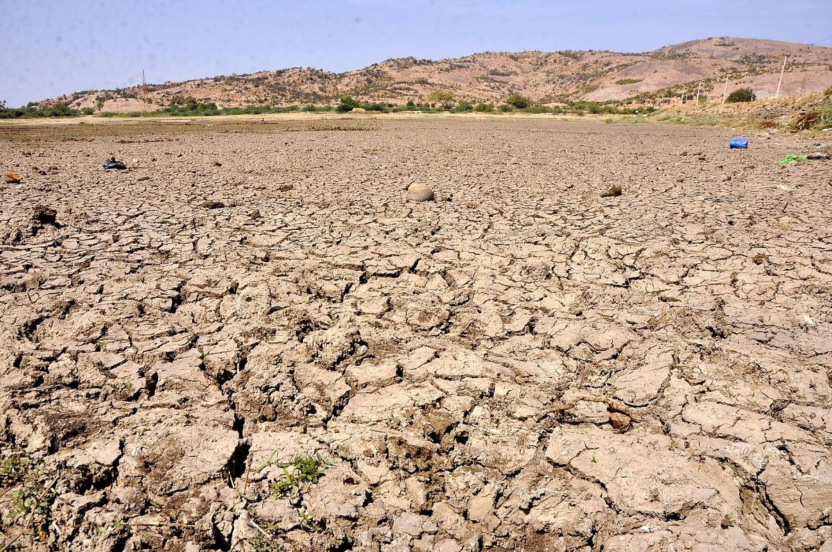 The scientist said global warming and climate change are likely to exacerbate drought in the coming years. (DH File Photo)