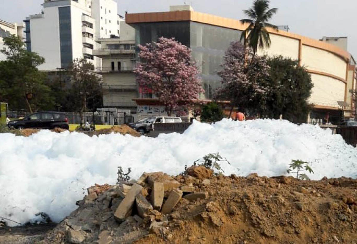 Varthur Lake frothing near Varthur Kodi on Tuesday morning. Special arrangement