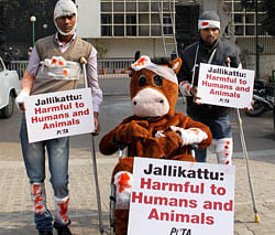 PETA activists protest against 'Jallikattu' outside Tamil Nadu Bhavan in New Delhi on Monday. PTI Photo