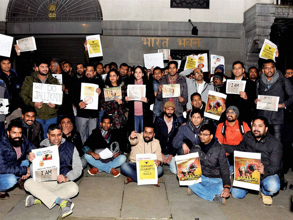 British Indian Tamils gather outside Indian High Commission in London to support Jallikattu on Wednesday. PTI Photo