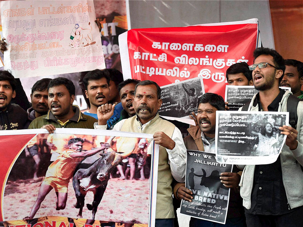 Delhi Tamil Students & Youngsters shout slogan during a protest against People for the Ethical Treatment of Animals (PETA) and the ban on Jallikattu in New Delhi on Thursday. PTI Photo