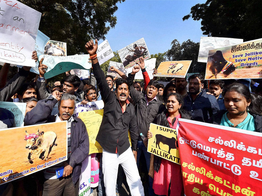 Tamil lawyers in Supreme Court shout slogan during a protest march from Mandi House to jantar Mantar against People for the Ethical Treatment of Animals (PETA) and the ban on Jallikattu in New Delhi on Thursday. PTI Photo