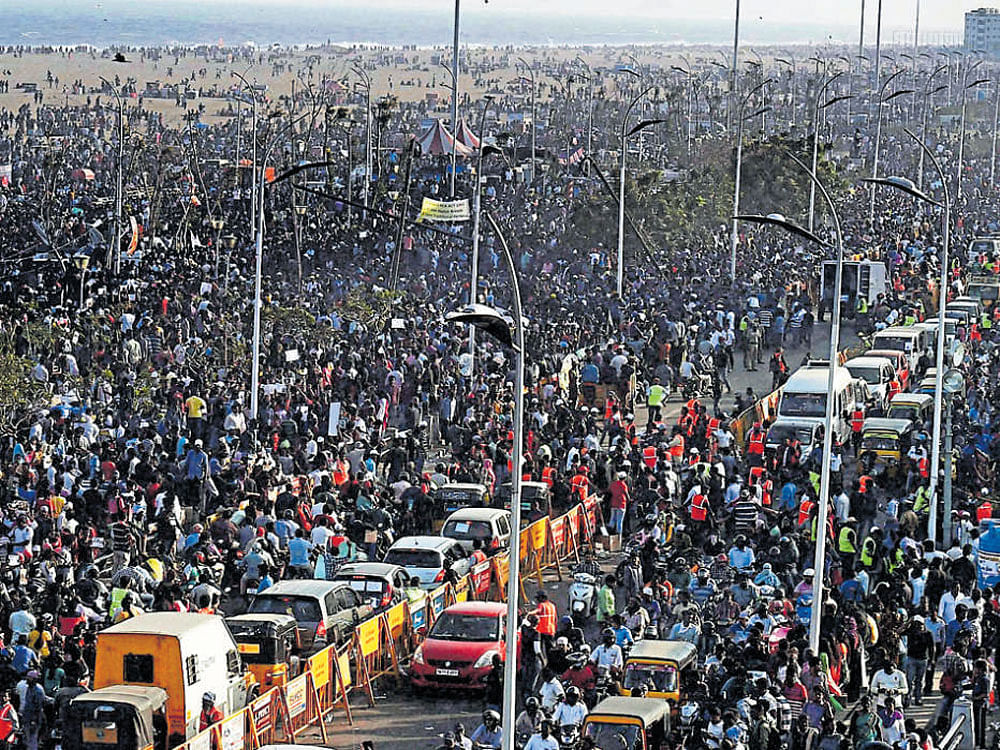 Thousands continue to throng Marina Beach in Chennai on Saturday, the fourth day of the Jallikattu agitation. PTI