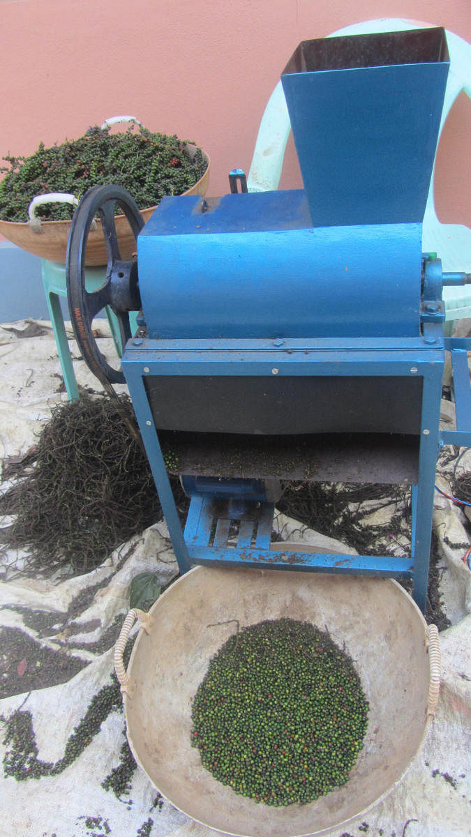 A pepper grain separator used in one of the farms in Napoklu.