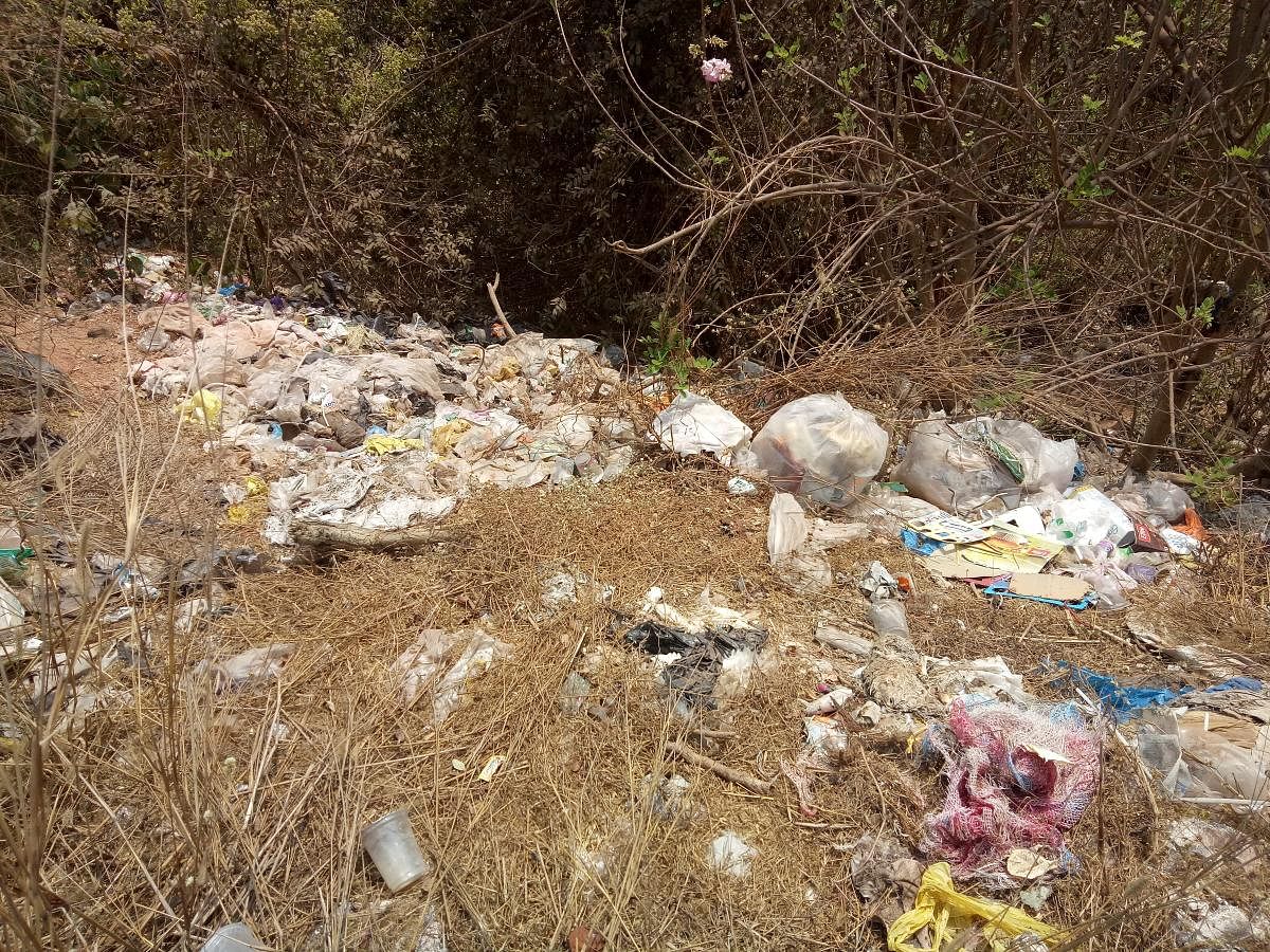 Waste dumped beside a road at Thiplepadavu in Manjanady Gram Panchayat jurisdiction.