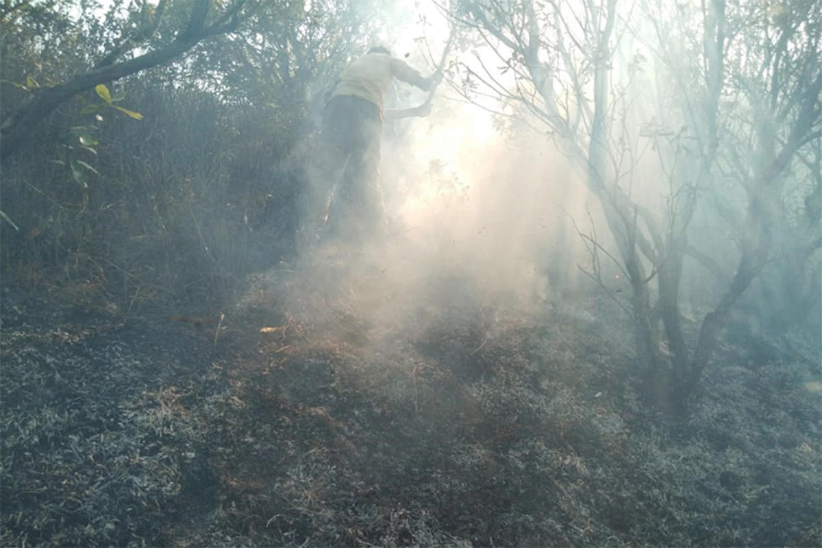 A forest guard tries to douse a fire at Tadiyandamol hill recently where a lot of greenery was gutted.