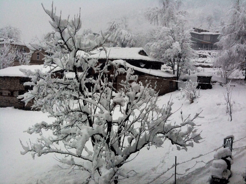 A view of snow-clad trees and houses in Manali PTI File Image