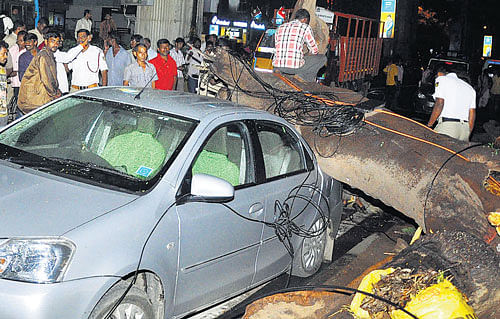 A huge tree fell on a car in Indiranagar. A woman was injured in the accident. DH PHOTO / KPN