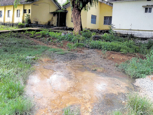 Views of the sewage water on the district government hospital premises in Udupi. DH photo