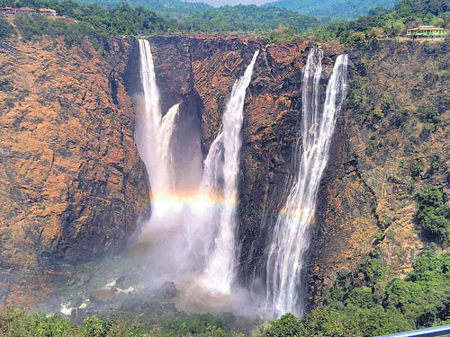 A rare view of the roaring Jog Falls is seen as power generation is halted at Sharavathi Generating Station after the recent fire accident. DH PHOTO