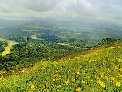 breathtaking Some scenic sights of Agumbe Photos by Dhiraju Bhaisare