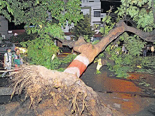 Evening rain holds up traffic across city