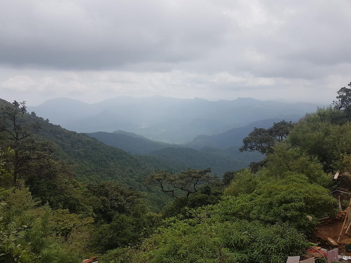 A view of Kodachadri hill range from the peak. Photo by Author