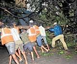 Police along with the public clearing a fallen tree on Kasturba Road on Sunday. The rain and the gusty wind that lashed the City brought down branches and trees. DH PHOTO