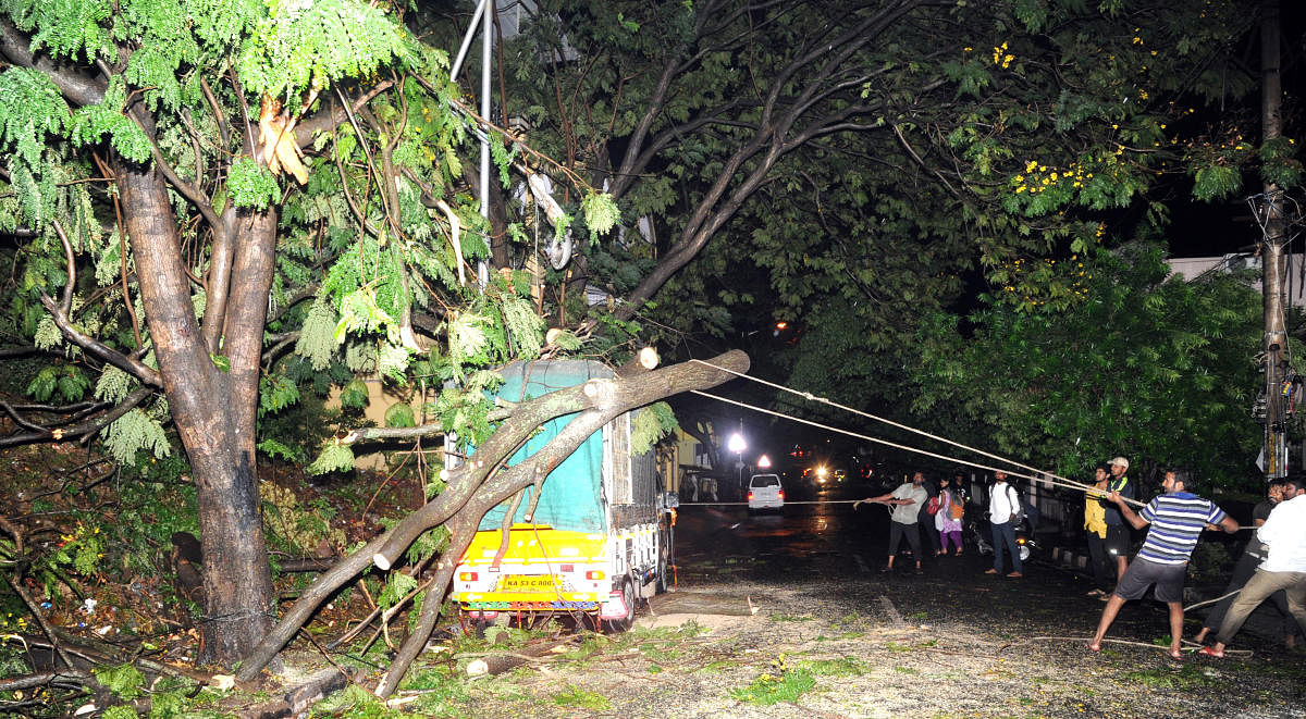 Workers clear a tree that fell on a vehicle in Grinagar on Friday. Dh photo/Srikanta Sharma R