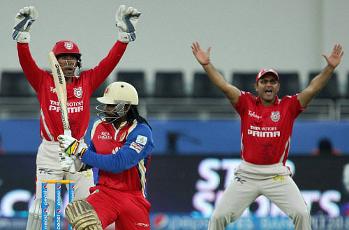 Kings X1 Punjab's Wriddhiman Saha and Virender Sehwag appeal for LBW of Royal Challengers Bangalore batsman Chris Gayle during a T20 match for Indian Premier League 2014 at the Dubai International Stadium, Dubai, United Arab Emirates on Monday. PTI Photo